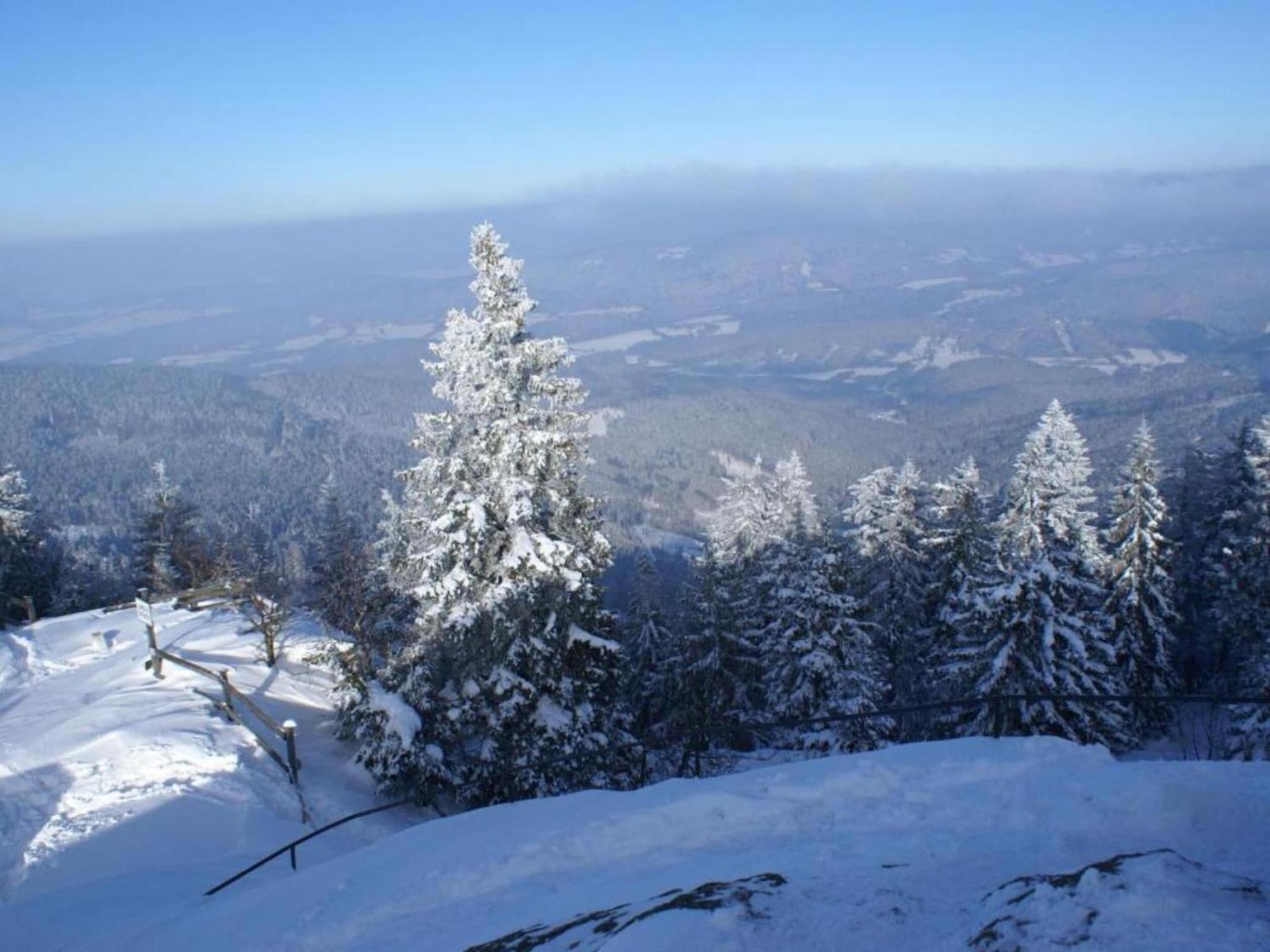Comfort Apartment With Balcony In The Beautiful Bavarian Forest ครัคเซลสรีด ภายนอก รูปภาพ