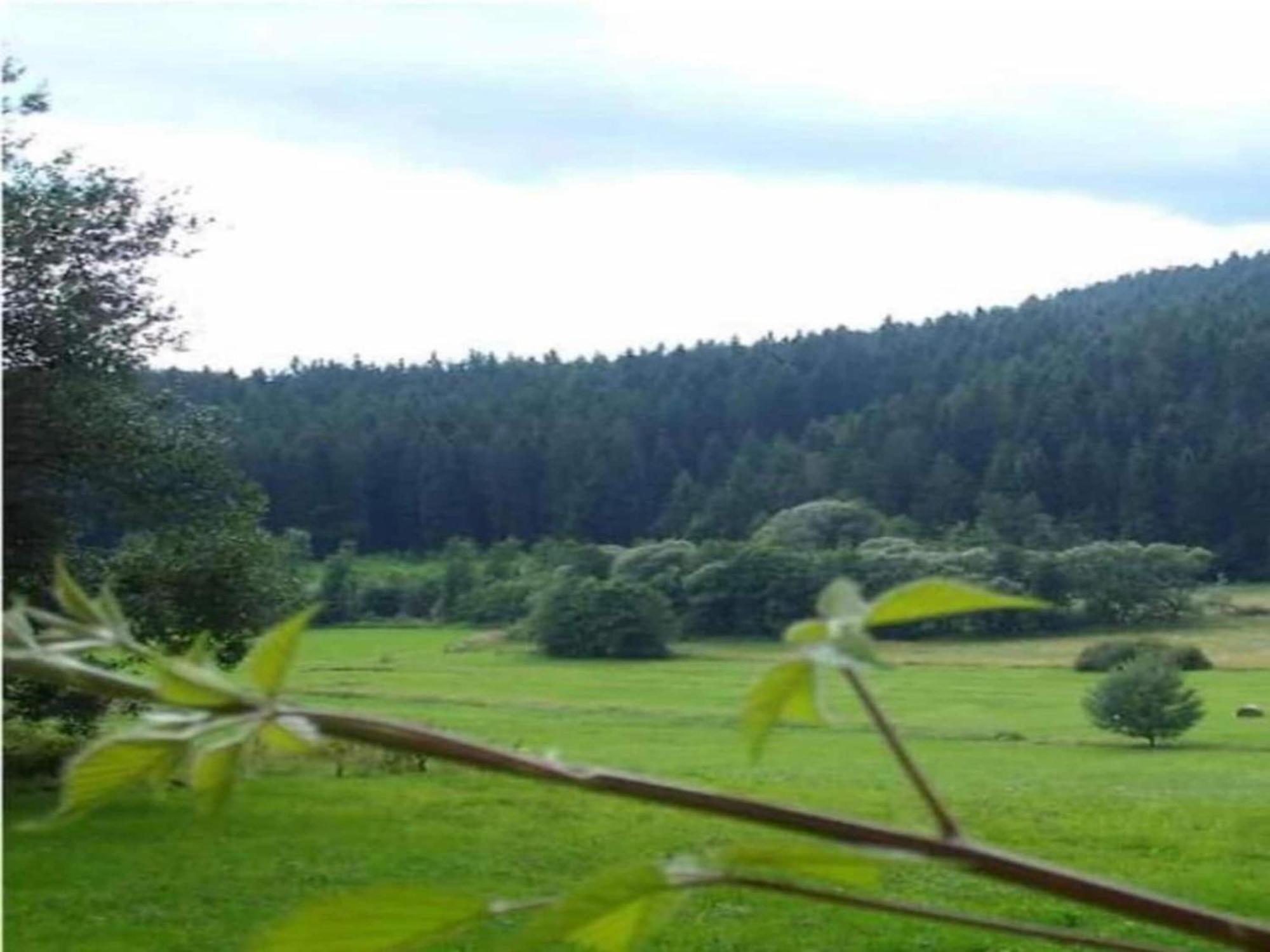 Comfort Apartment With Balcony In The Beautiful Bavarian Forest ครัคเซลสรีด ภายนอก รูปภาพ
