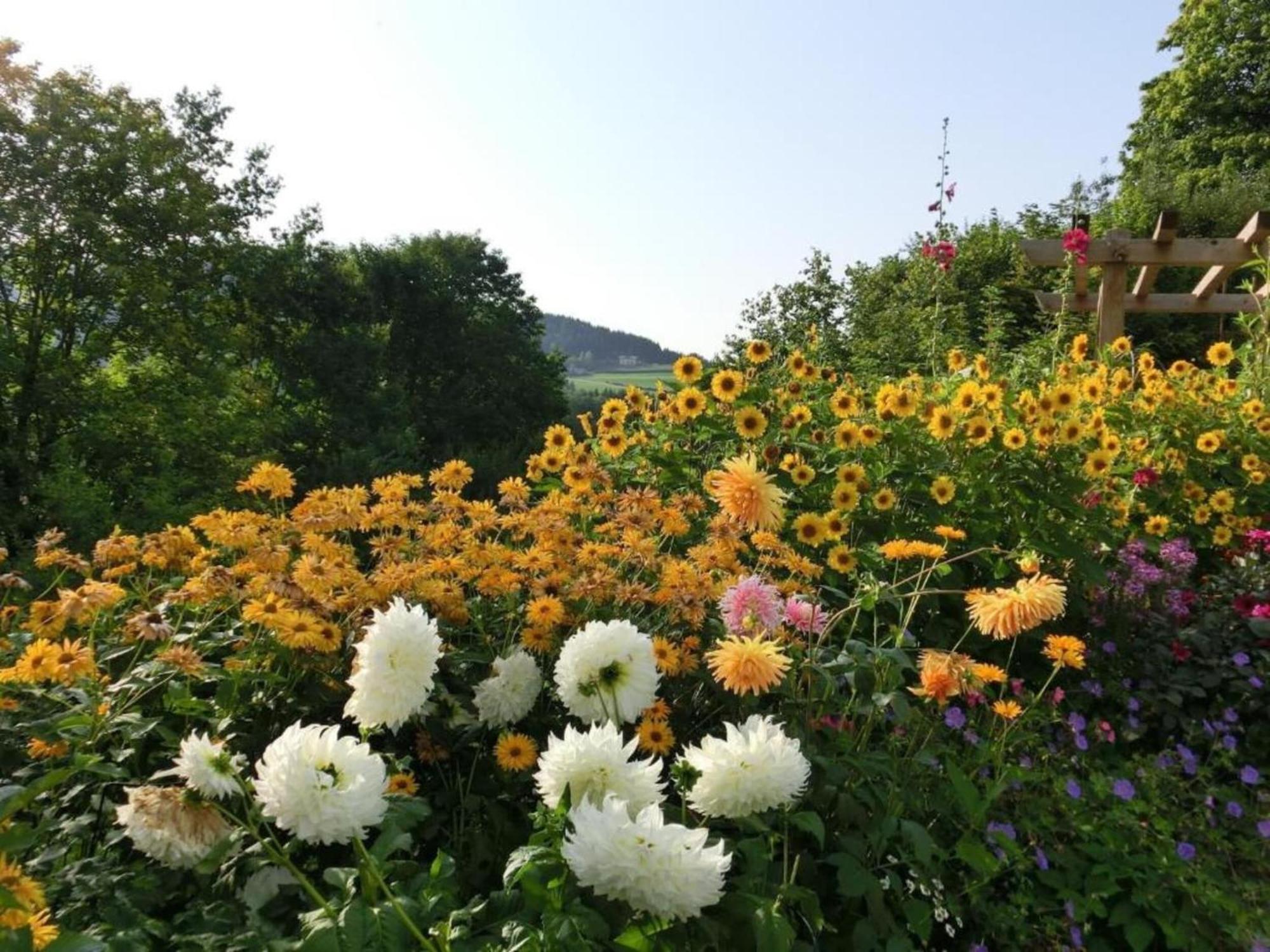 Comfort Apartment With Balcony In The Beautiful Bavarian Forest ครัคเซลสรีด ภายนอก รูปภาพ