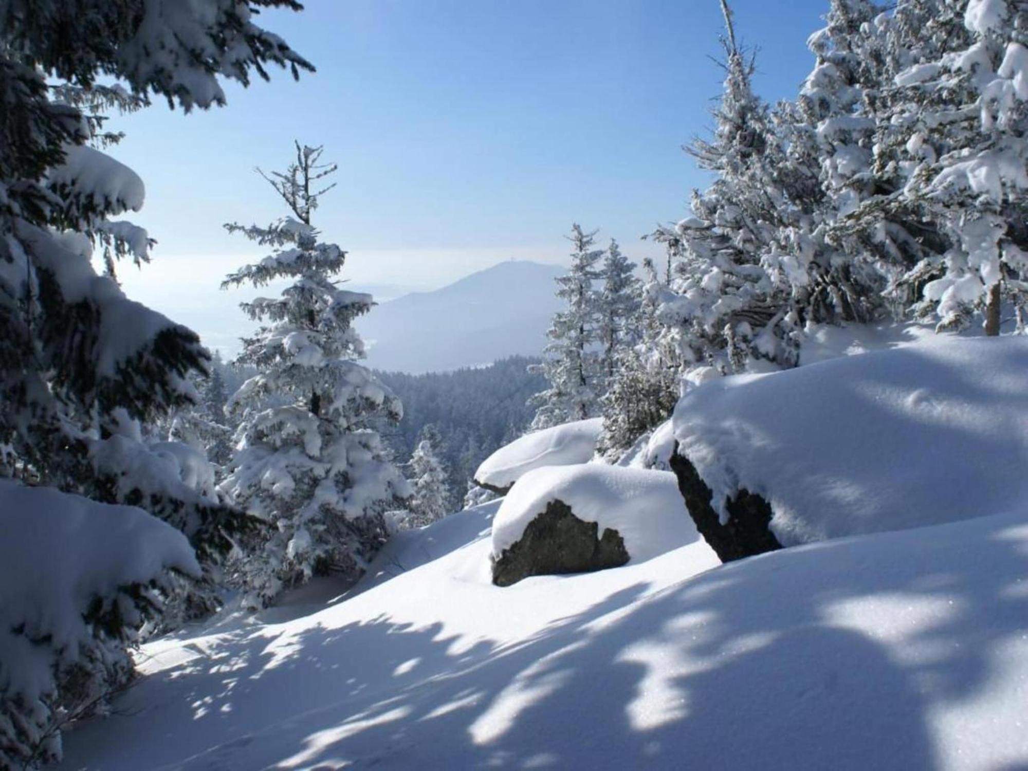 Comfort Apartment With Balcony In The Beautiful Bavarian Forest ครัคเซลสรีด ภายนอก รูปภาพ