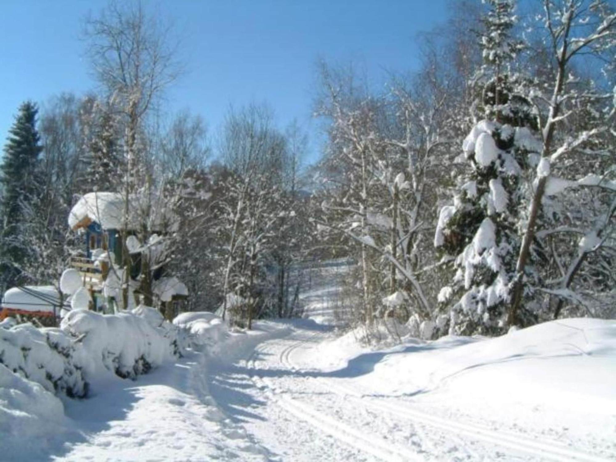 Comfort Apartment With Balcony In The Beautiful Bavarian Forest ครัคเซลสรีด ภายนอก รูปภาพ